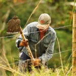  CONTRATO DE ARRENDAMIENTO DE INMUEBLES PARA FINES AGROPECUARIOS
